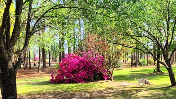 Northeast Creek Park