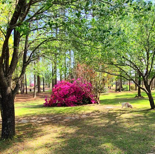 Northeast Creek Park