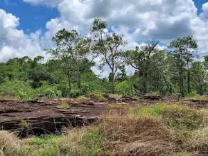 Elephant Pond-Srah Damrei