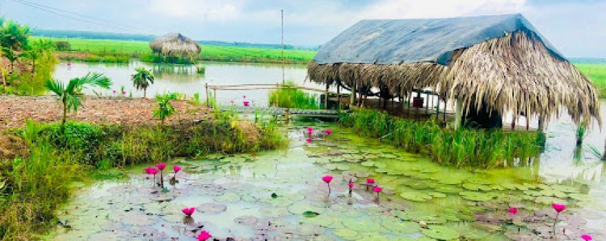Vườn Dừa Quán