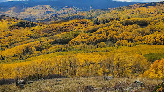 Sunlight Ski Resort Mountain Top