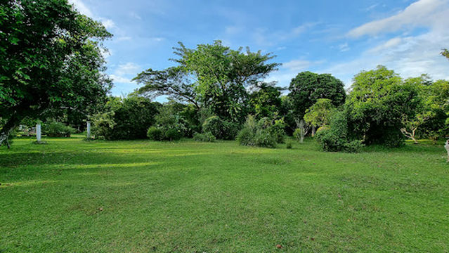 NAGA CITY ECOLOGY PARK