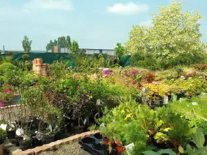 Horticulteur Producteur