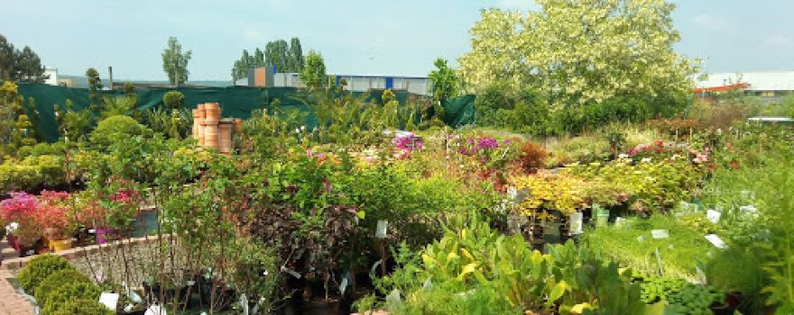 Horticulteur Producteur