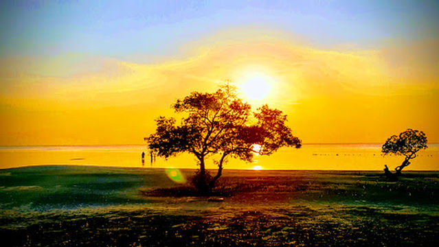 The Emerald Playa Beach