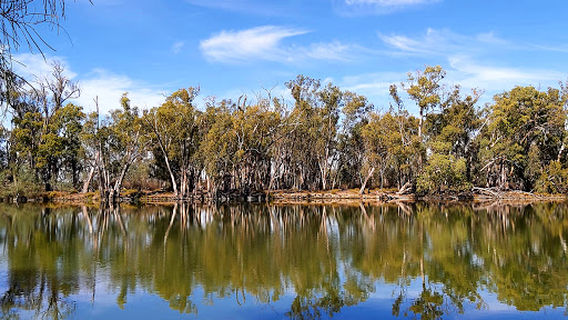 Murray River National Park