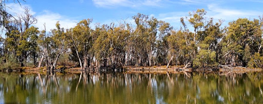 Murray River National Park