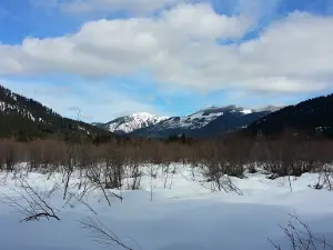 Cabin Creek Sno Park