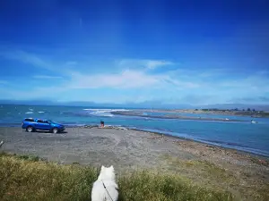 Wairau Diversion Reserve