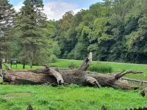 Tamási Vadaspark, Miklósvár