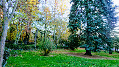 San Antonio Park
