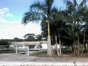 Lago Municipal