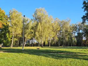 Park