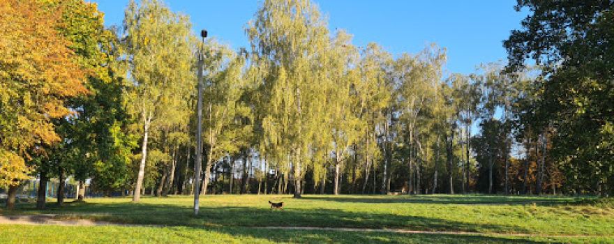 Park
