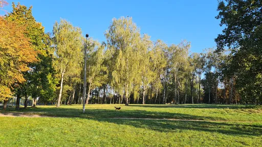 Park