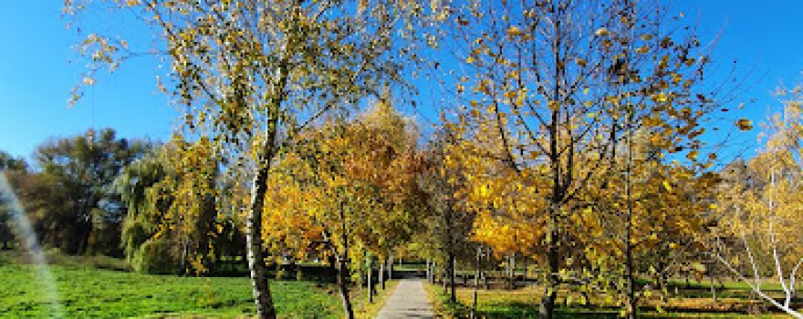 Slovianskyi Park