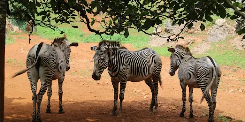 Cabarceno Nature Park