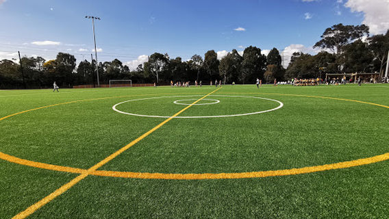 Glen Iris