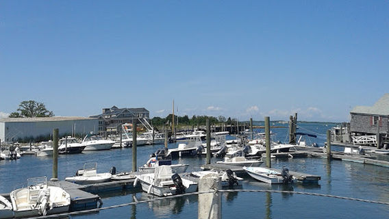 Aquarius Sportfishing