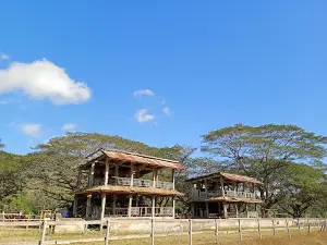 Racecourse Dompu