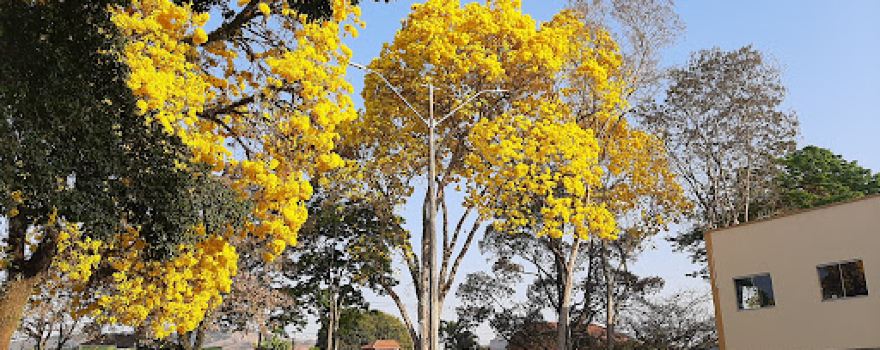 Praça Pref. Elias Antônio Filho