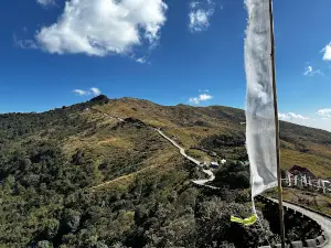 Tumling view point