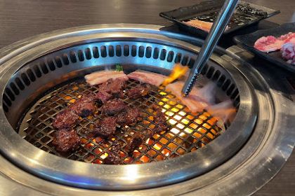 Gyu-Kaku - Flamingo Crossings