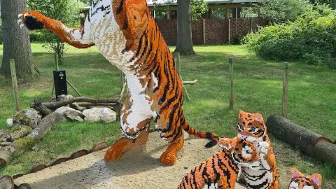 諾斯利野生動物園 attraction in 馬其賽特郡