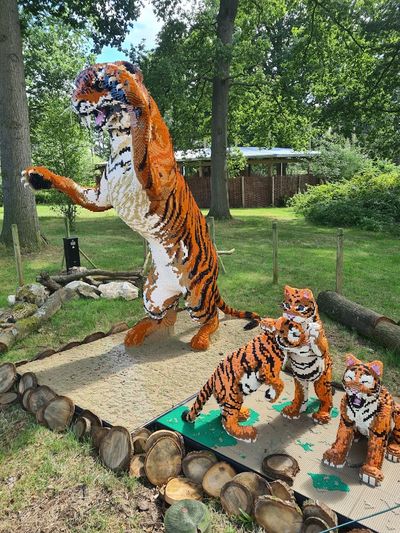 Knowsley Safari