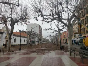 Fuente de los Patos