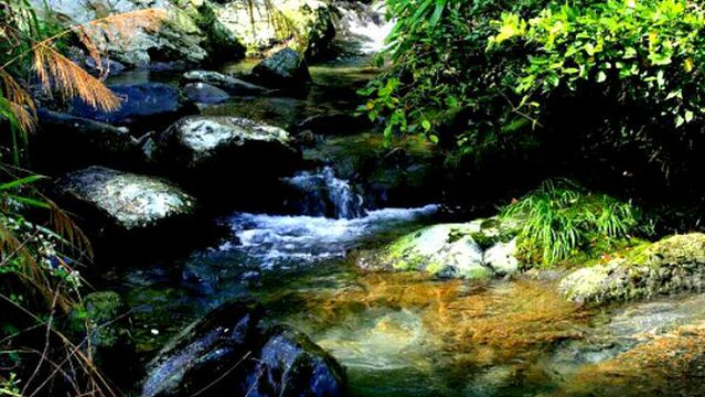 Xianrengu Scenic Area