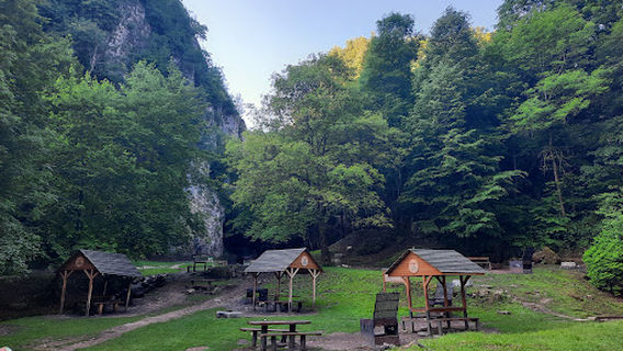 Braşov