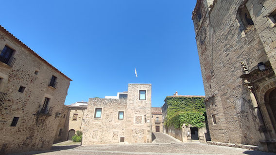 Active Travel & Events