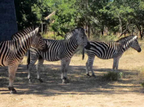 Kuti Wildlife Reserve Main Gate