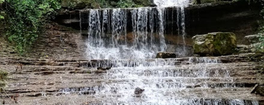 Harrods Creek Park