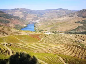 Estrada Nacional 222, Km Final (Almendra)