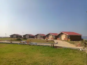 Sarsi Island on Bansagar Dam