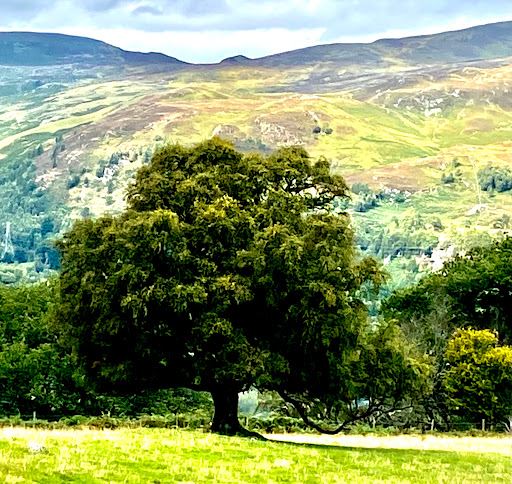 Outlander film location (Craigh na Dun)