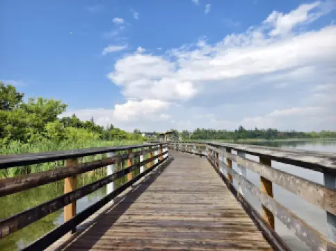 Telford Lake Boardwalk