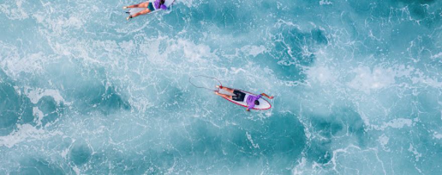 Ecole De Surf Kiwi Surf Biscarrosse