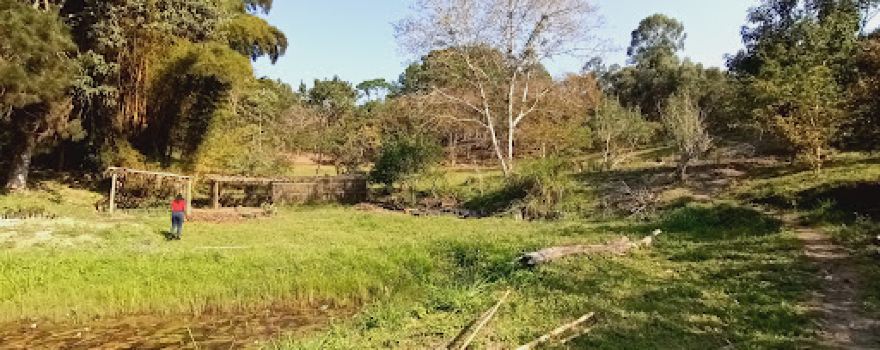 Ntchezgo garden