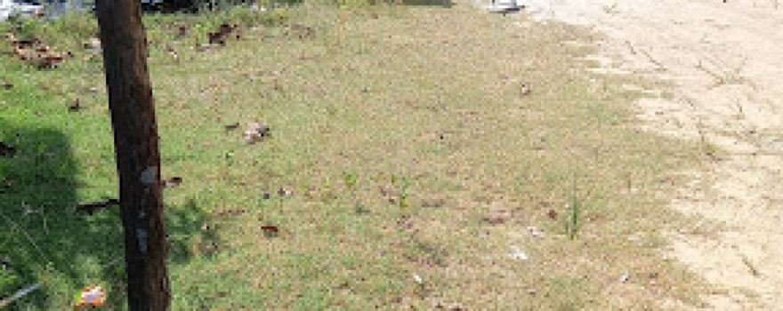 Lapangan Voli Limus