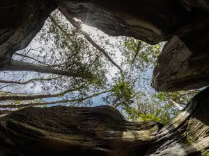 Batiscan River Park - Great Basin Area
