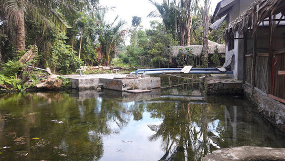 Pemandian Alam Sejuk Pas