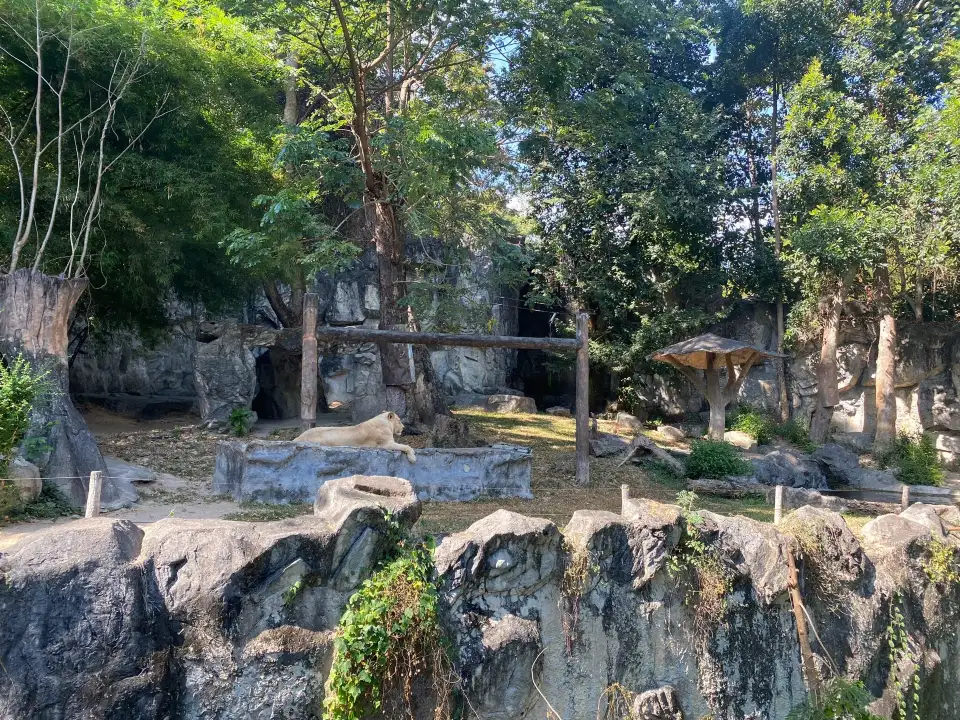 4_清邁動物園