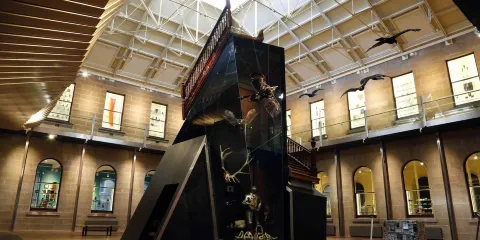 塔斯馬尼亞博物和藝術館