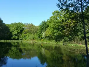Parc des Gayeulles