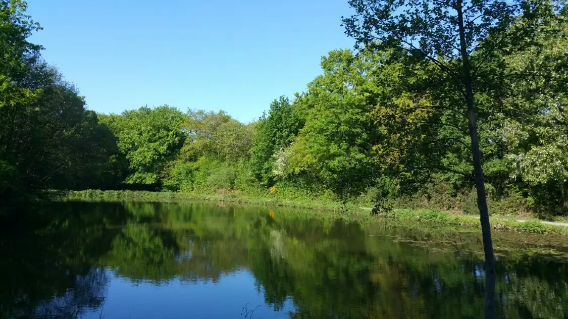 Hotels near Parc des Gayeulles