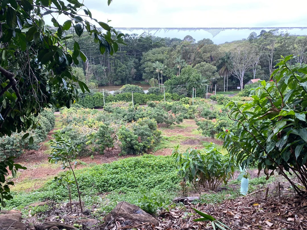 4_Tropical Fruit World