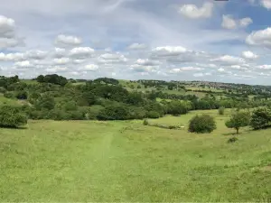 Mayfield Animal Park
